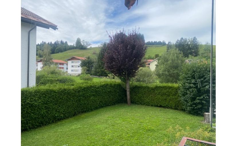 Blick vom Balkon EG