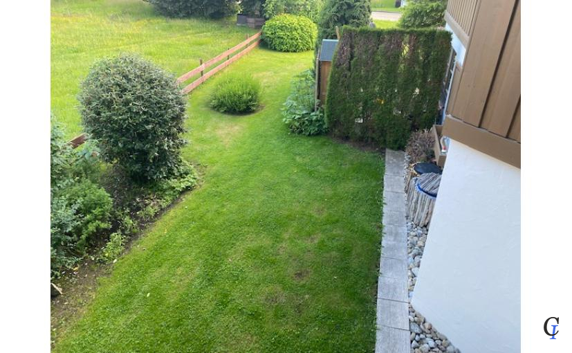 Blick in den Garten vom Balkon